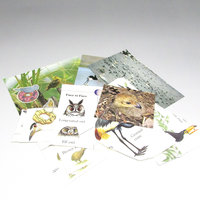 Birds Junk Journaling Embellishment Pack