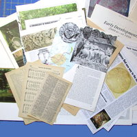 History Junk Journal Collage Starter Pack