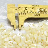 Small Mother of Pearl Natural Seashell Chips