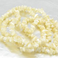 Small Mother of Pearl Natural Seashell Chips