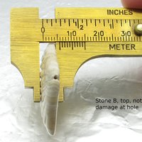 Crazy Lace Agate Seashell Cabochon, 34x34.5mm 46.65ct