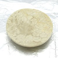 Cabochon, fossilized coral, 41x9mm domed round, 104.35ct