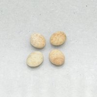 Matte Picture Jasper Ovals, 10x8mm Cabochons (4)