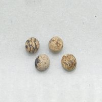 Matte Picture Jasper Ovals, 10x8mm Cabochons (4)