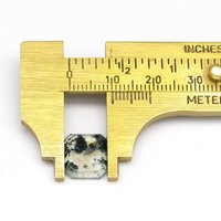 12.3mm Flat Octagon, Moss Agate Cabochon