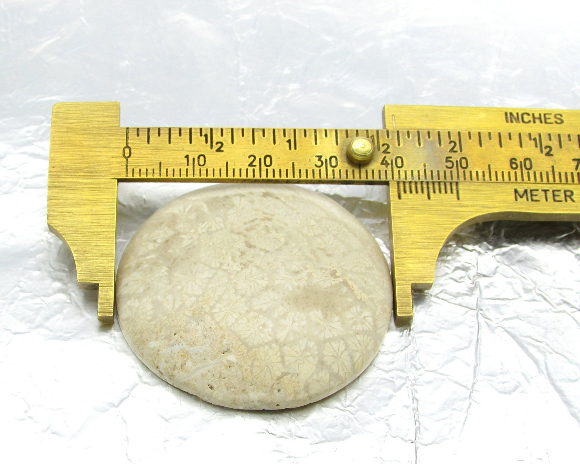 Cabochon, fossilized coral, 41x9mm domed round, 104.35ct