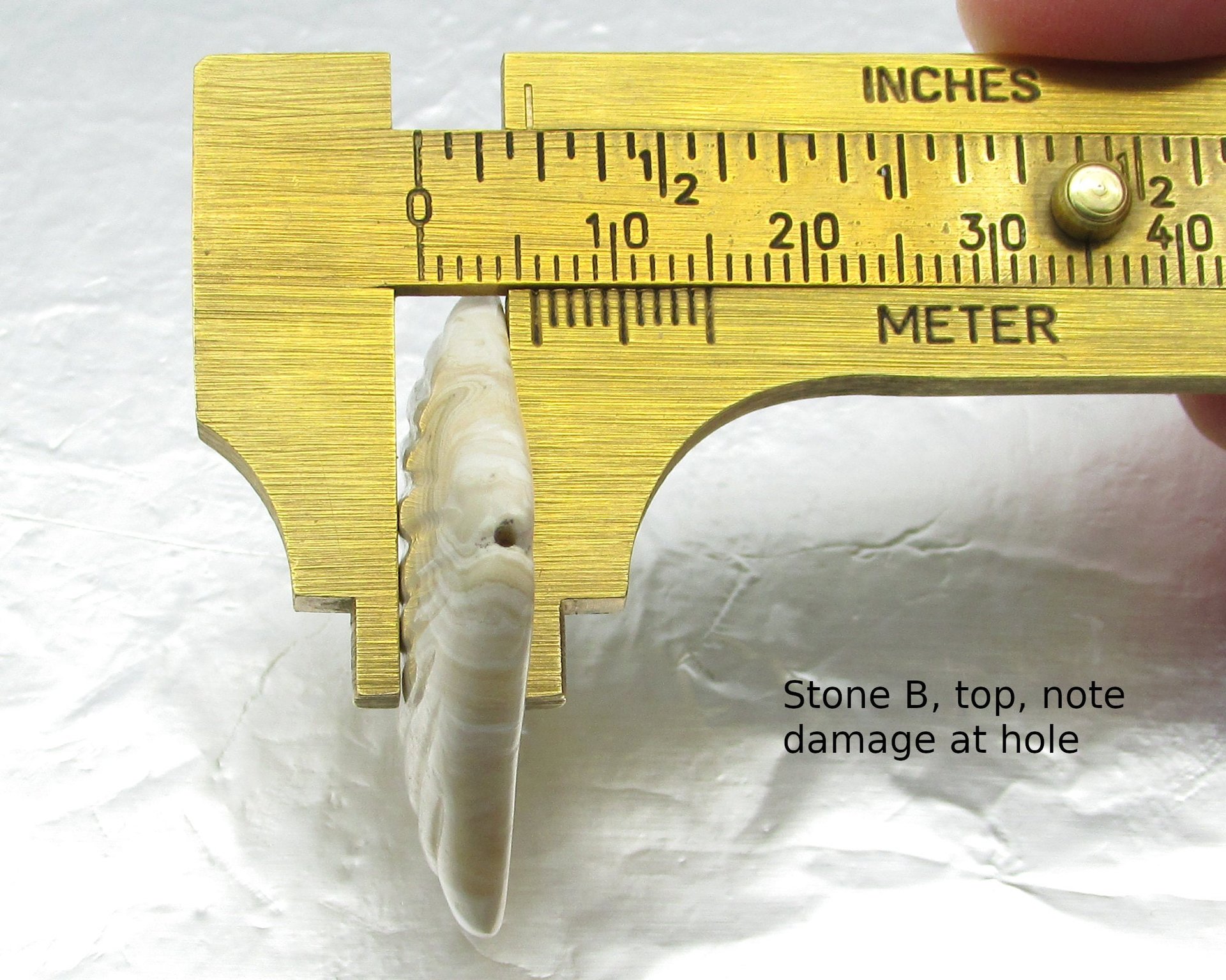 Crazy Lace Agate Seashell Cabochon, 34x34.5mm 46.65ct