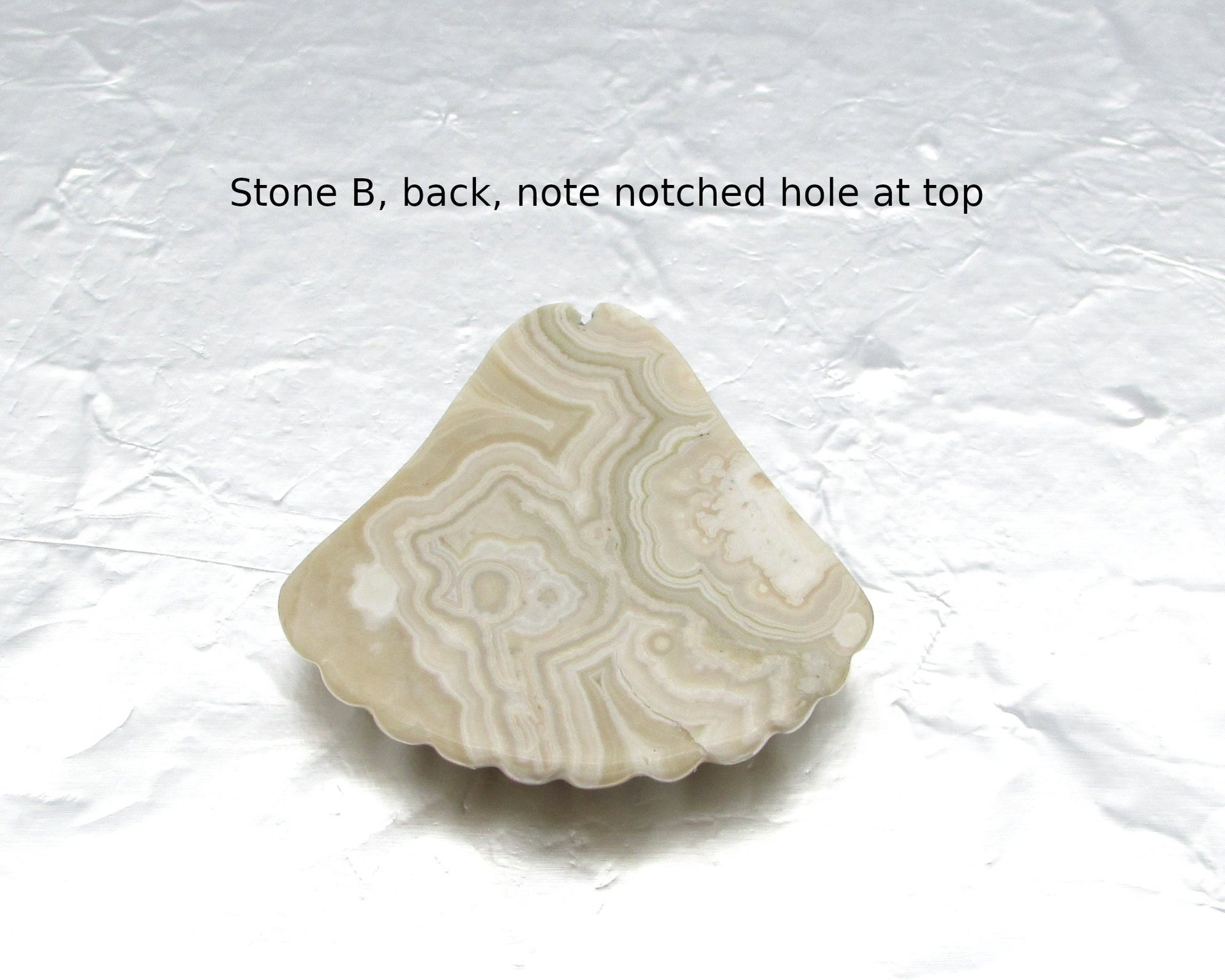 Crazy Lace Agate Seashell Cabochon, 34x34.5mm 46.65ct