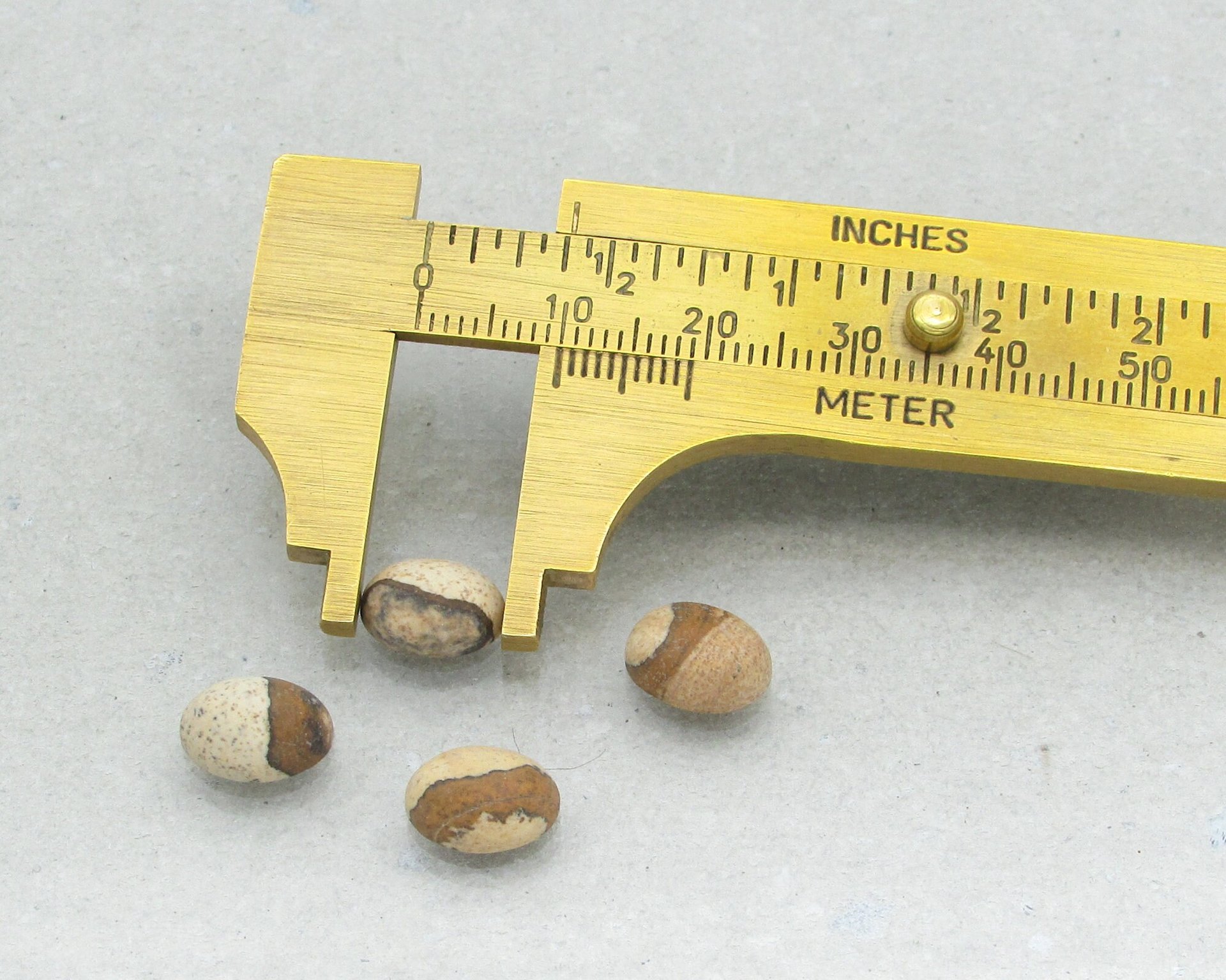 Matte Picture Jasper Ovals, 10x8mm Cabochons (4)