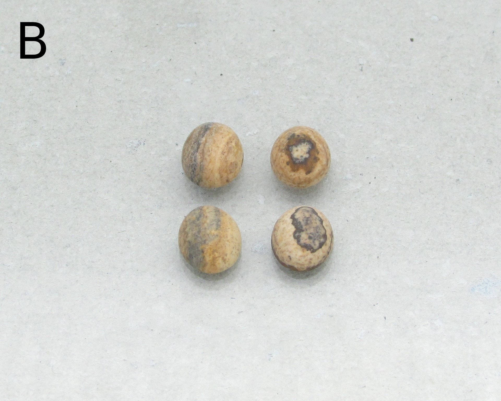 Matte Picture Jasper Ovals, 10x8mm Cabochons (4)