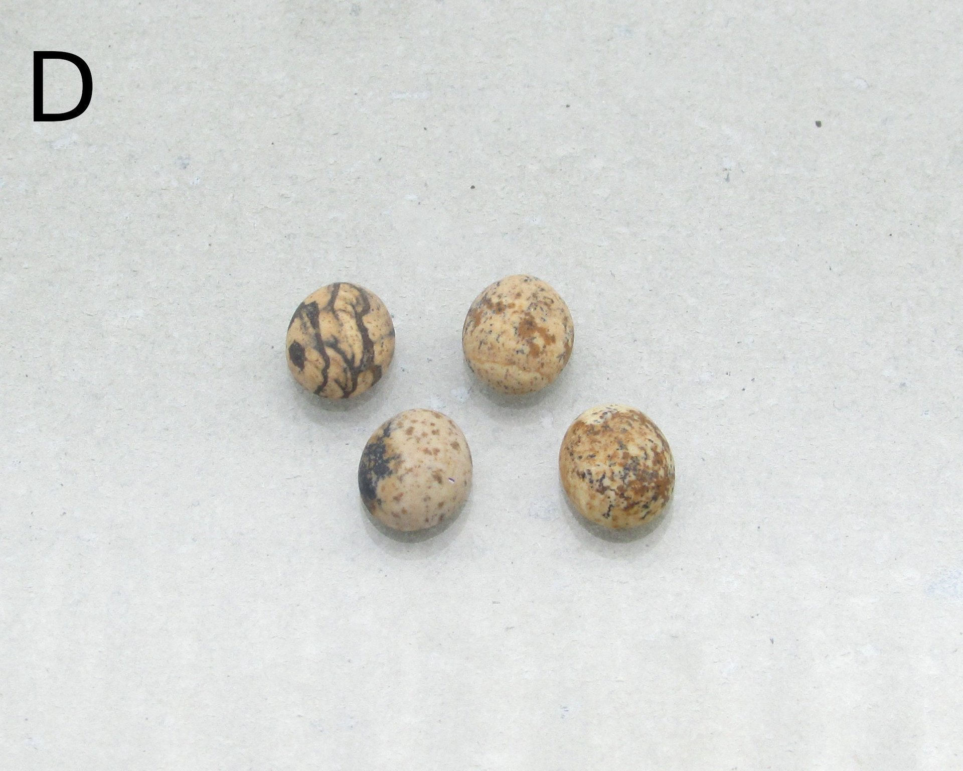 Matte Picture Jasper Ovals, 10x8mm Cabochons (4)