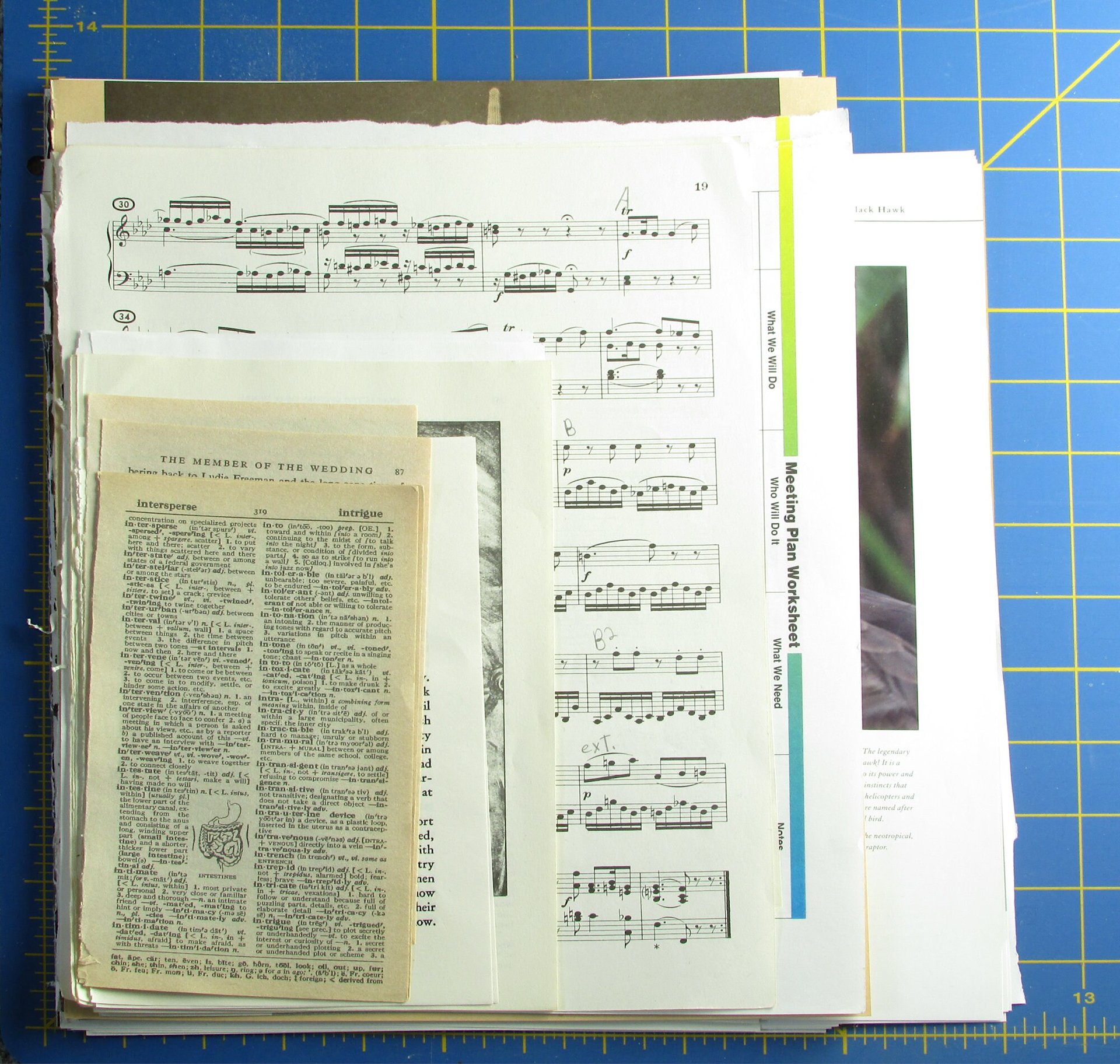 Birds Junk Journaling Embellishment Pack