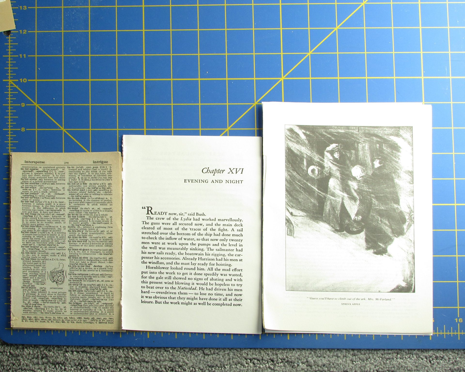 Birds Junk Journaling Embellishment Pack