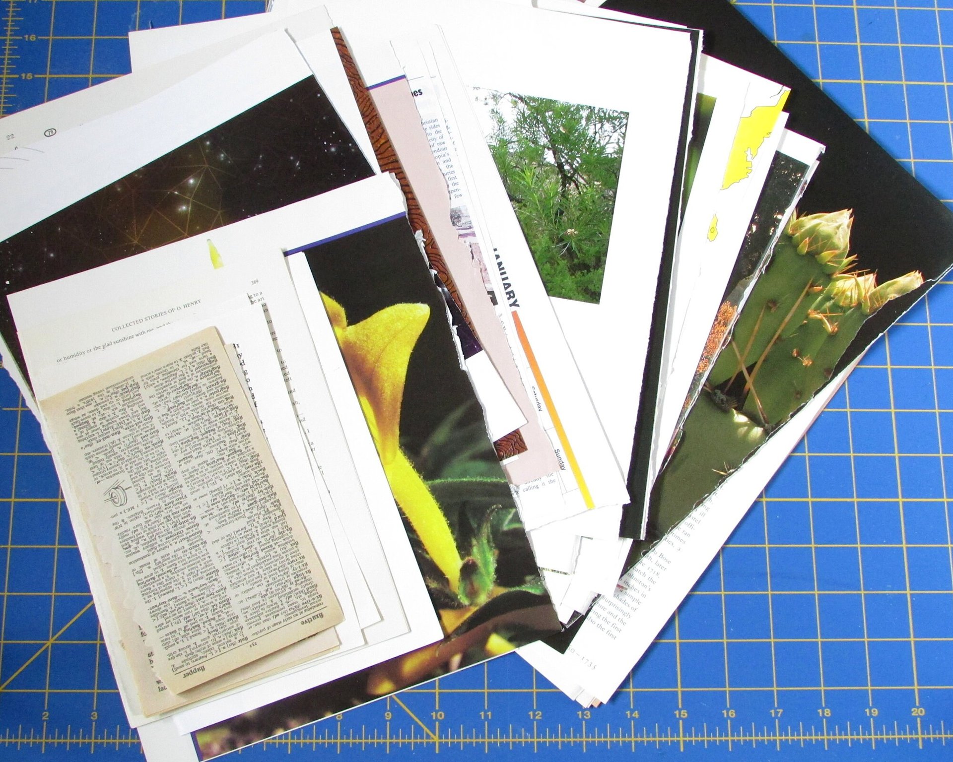 Floral Junk Journaling Embellishment Pack