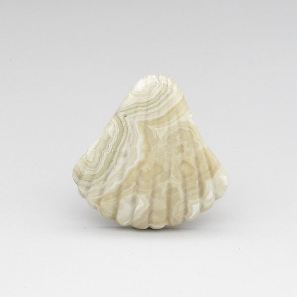 Crazy Lace Agate Seashell Cabochon, 34x34.5mm 46.65ct