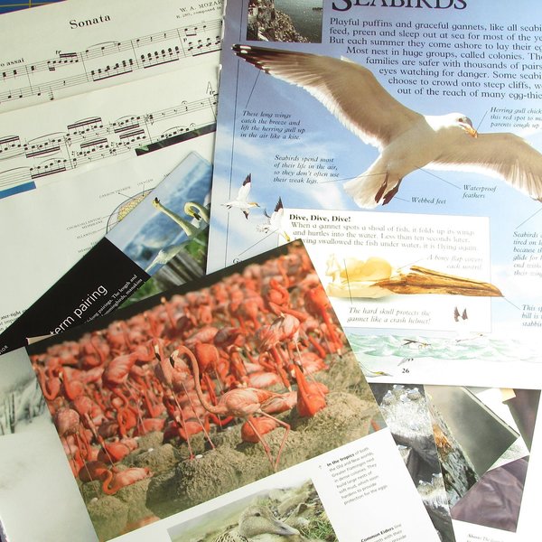 Birds Junk Journaling Embellishment Pack